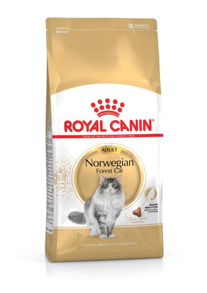 Royal Canin Dry Cat Food Norwegian Forest Adult