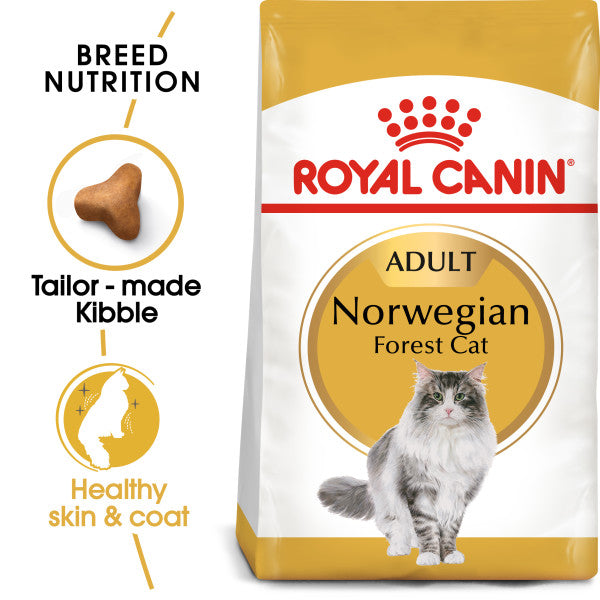 Royal Canin Dry Cat Food Norwegian Forest Adult