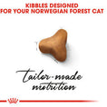 Load image into Gallery viewer, Royal Canin Dry Cat Food Norwegian Forest Adult
