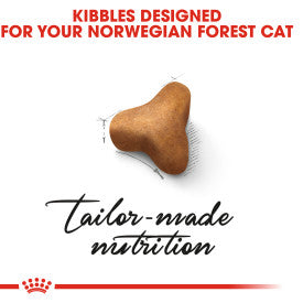 Royal Canin Dry Cat Food Norwegian Forest Adult