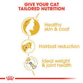 Load image into Gallery viewer, Royal Canin Dry Cat Food Norwegian Forest Adult
