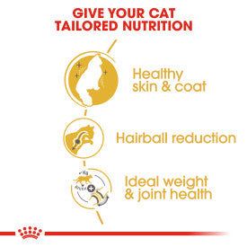 Royal Canin Dry Cat Food Norwegian Forest Adult