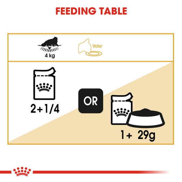 Royal Canin Persian in Gravy Adult Wet Cat Food