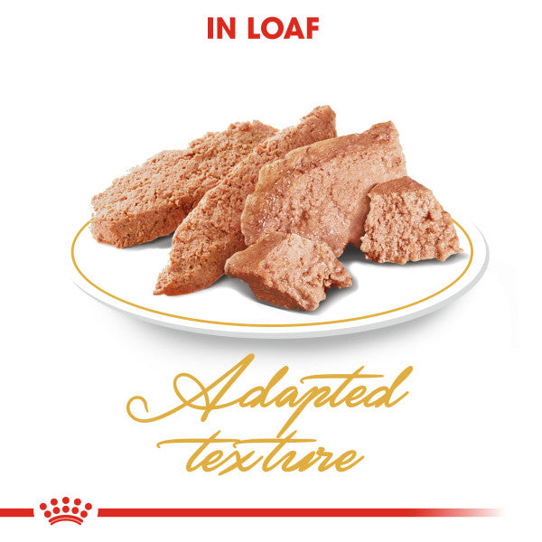 Royal Canin Persian in Gravy Adult Wet Cat Food