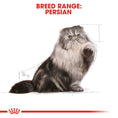 Load image into Gallery viewer, Royal Canin Persian in Gravy Adult Wet Cat Food
