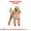 Load image into Gallery viewer, Royal Canin Poodle Adult Dry Dog Food
