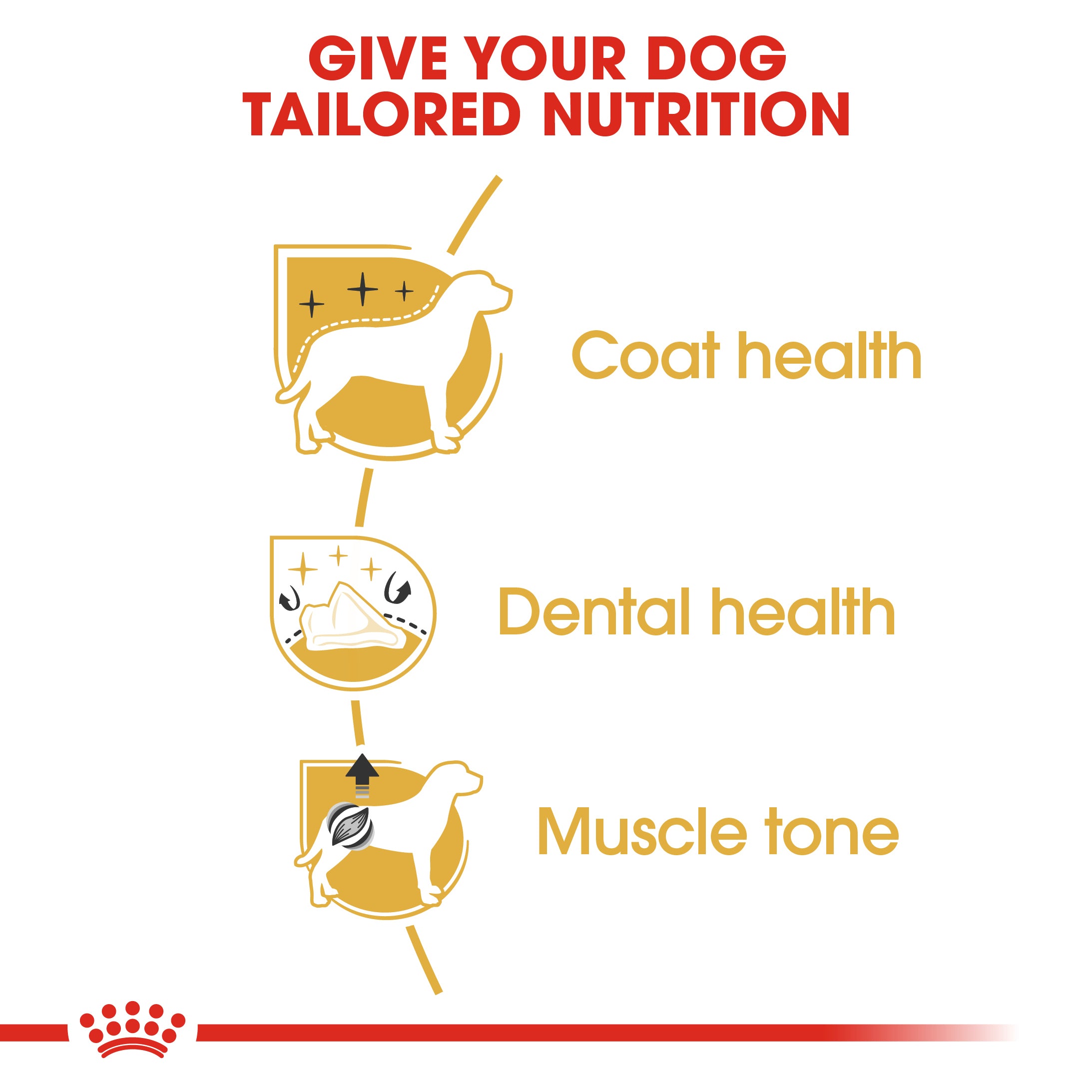 Royal Canin Poodle Adult Dry Dog Food