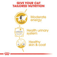 Load image into Gallery viewer, Royal Canin British Shorthair Adult In Gravy Wet Cat Food
