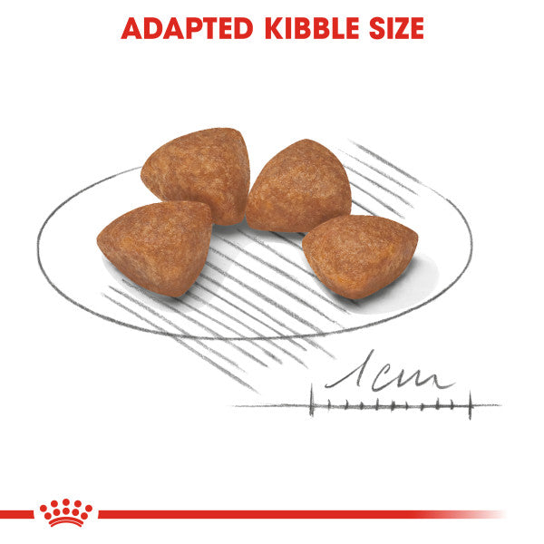 Royal Canin X-Small Puppy Dry Dog Food