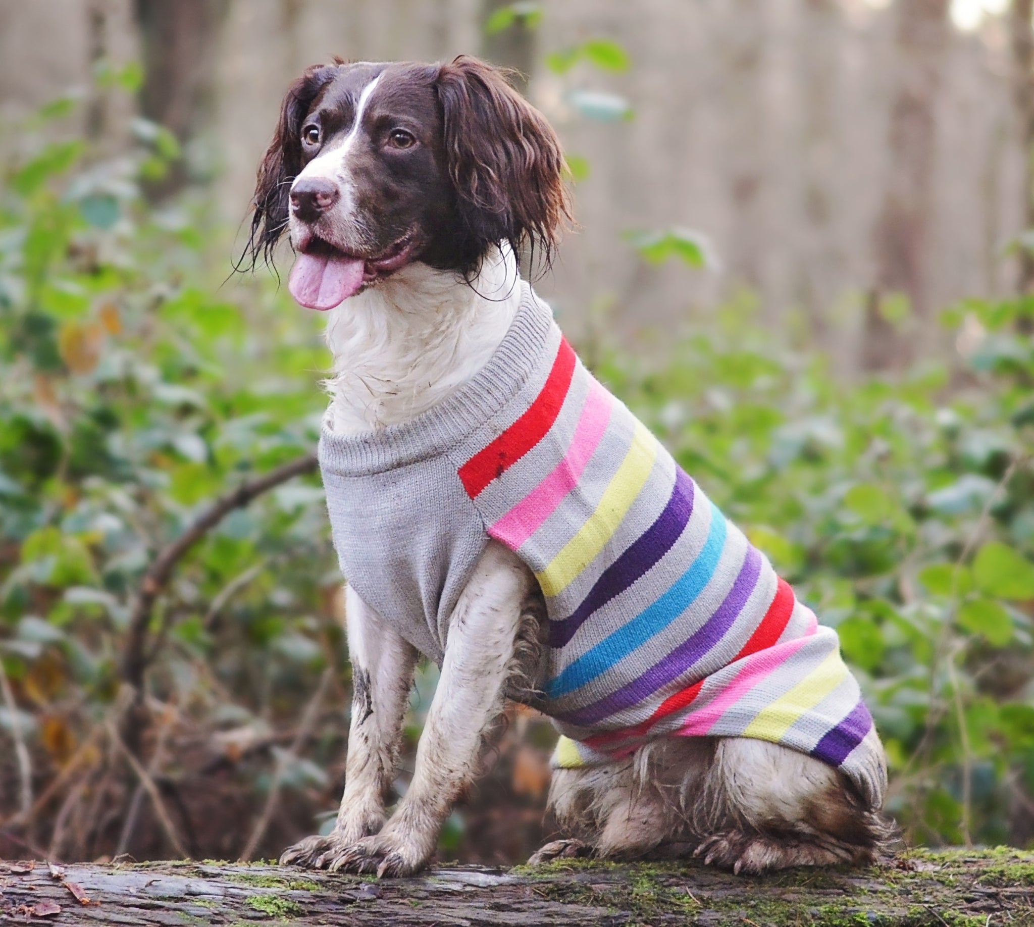 Sotnos Super Stripe Sweater