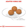 Load image into Gallery viewer, Royal Canin X-Small Adult Dry Dog Food
